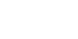 Pidilite Logo